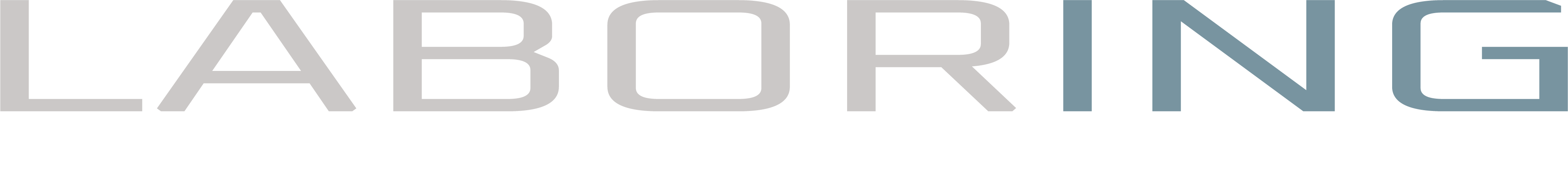 Laboring Consultores